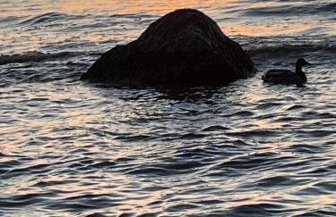 Apartament Szept Morza 2 - Foto 16