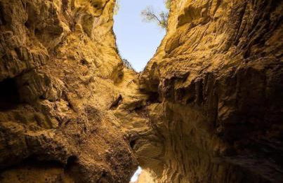 Agriturismo Antichi Ulivi - Foto 42