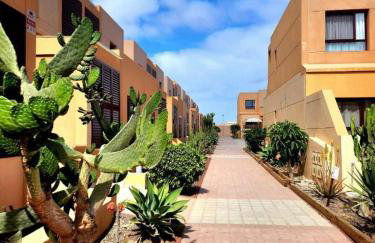 Oro de la Bahia - Foto 30