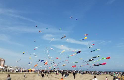 Fenicottero Rosa - Foto 27