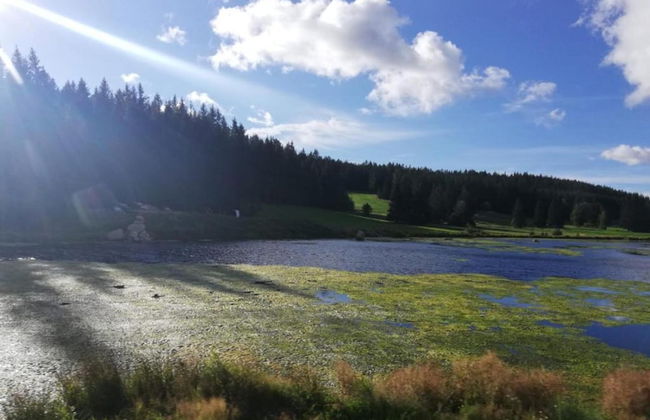 Talferienhaus, Sauerland - Foto 29