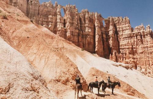 Beehive Basecamp Explore Ski Play and Make Memories - Foto 48