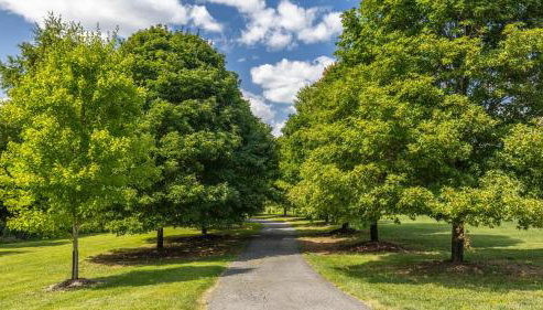 Luxury 15 acre Estate in Historic Purcellville, Virginia - Foto 3