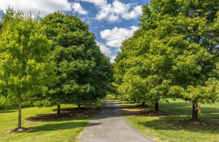 Luxury 15 acre Estate in Historic Purcellville, Virginia - Foto 3