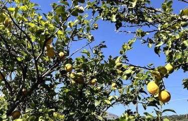 Maison Théia, entre mer et montagne Samonas - Foto 4