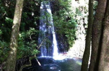 Casa Auri - Photo 24