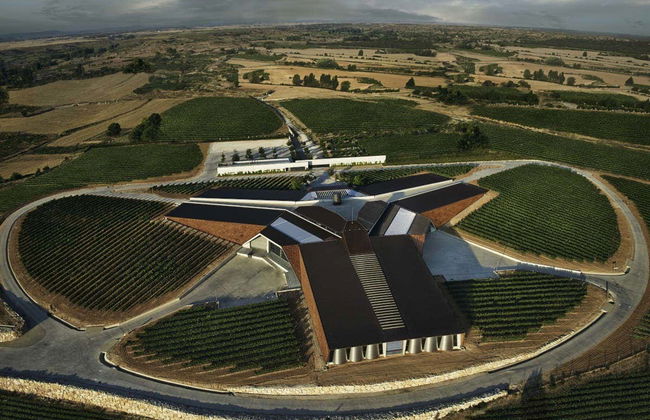 Portia Wine Cellar Tour - Photo 2