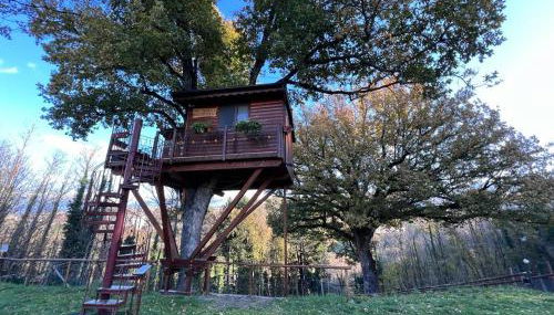 Casa sull'albero Bocchineri - Foto 5