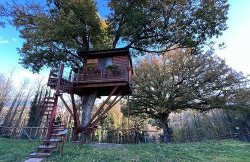 Casa sull'albero Bocchineri - Photo 5