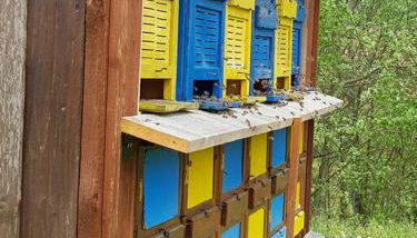 Ferienwohnung SandSteinLand - Foto 5