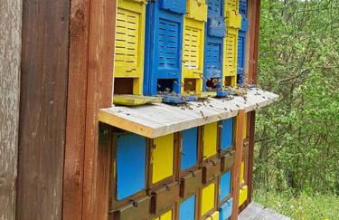 Ferienwohnung SandSteinLand - Foto 5