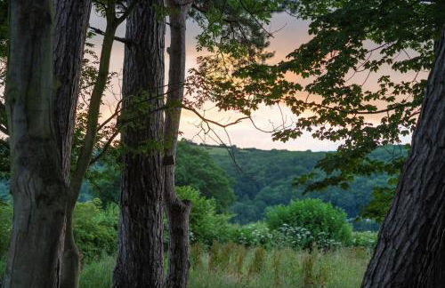 Amberwood Lodge - Photo 45