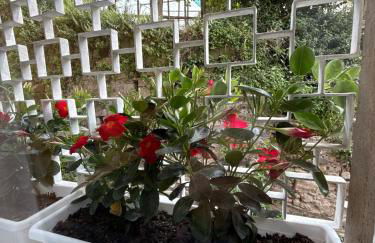 Spagnuolo Apartment Stabiae Coast - Foto 39