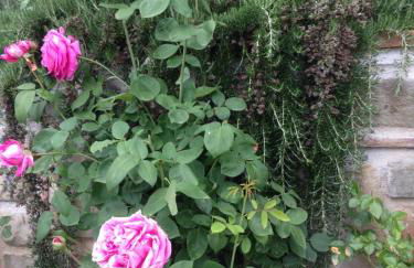 Agriturismo Tenuta La Fratta - Foto 52