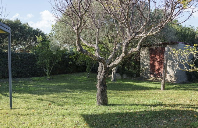 Acqua e Tramonto in Olbia - Foto 25