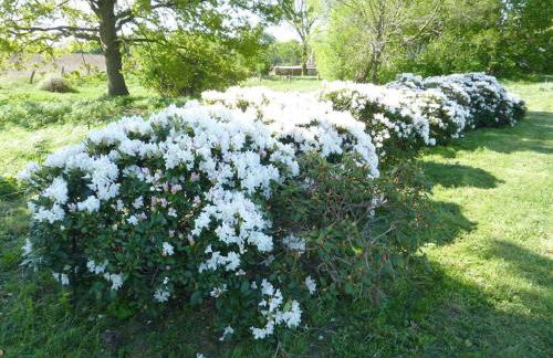 Carol's Country-House - Photo 10