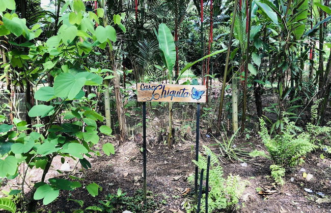 El Jardin de Playa Negra - Foto 57