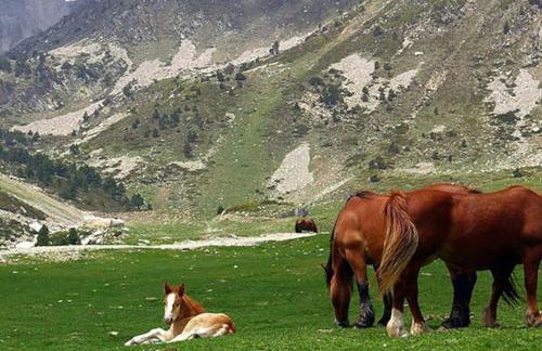 Bungalow en parc natural del Ter 2000 metres - Foto 19