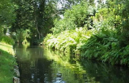 Ferienhaus Alte Stube - Foto 23
