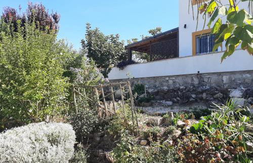 Cortijo Ramonsillos - Photo 24