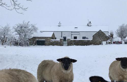 Mournes Family Cottage with Hot Tub - Foto 13