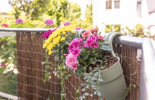 Privates Apartment mit Bad, Küche, Sofa & Balkon - Foto 10