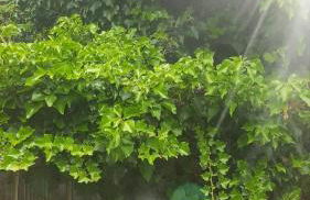 Ferienwohnung Wettin - Foto 29