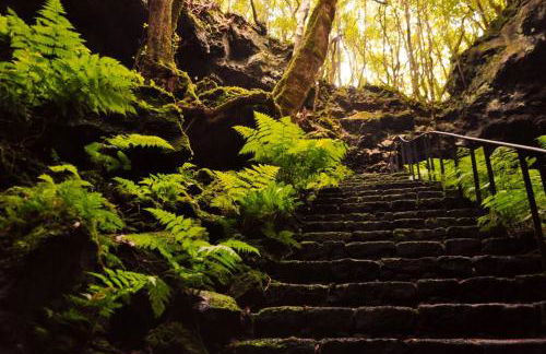 Casa do Marcelino Lagarto - Photo 50