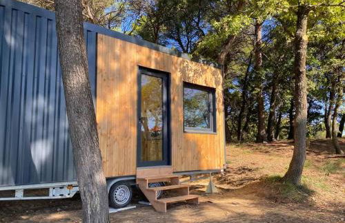 Tiny-House Grand Confort - Salle de bain italienne - Lit King - 10 min A7 - Foto 9