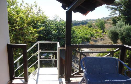 Alexandra Homestay - Foto 64