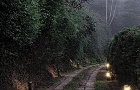 Apartamento Rústico Industrial nos Altos de Albuquerque - Photo 33