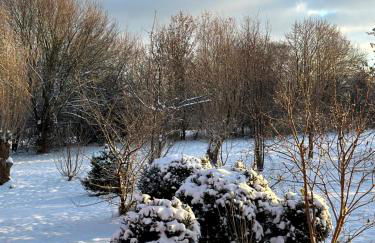 Ferienhaus am Saaler Bodden - Foto 37