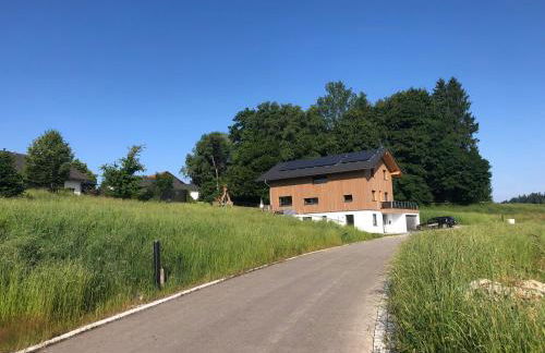 Pusteblume - Foto 12