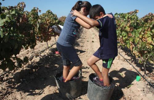 Apartamento Turístico Cigüeña de Alfaro - Foto 30