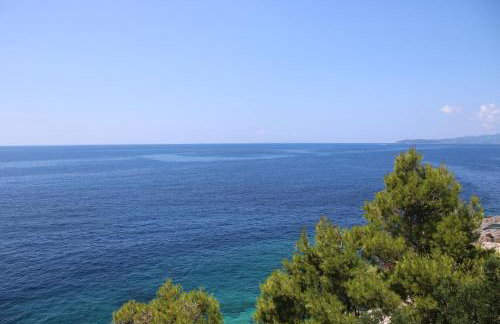 Robinson Lovorka - Foto 77