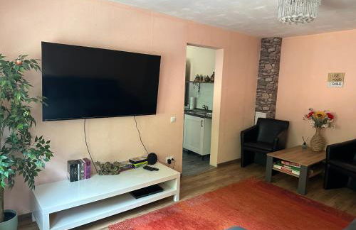 Große und helle 3 Zi Wohnung in Loßburg-Betzweiler, Schwarzwald - Foto 8