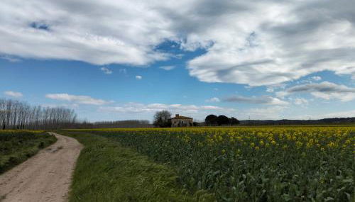 La Cabanya de la Canova - Foto 2
