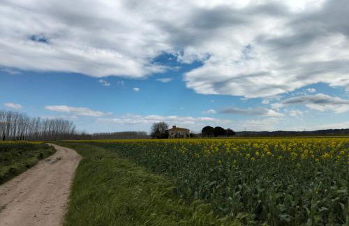La Cabanya de la Canova - Foto 2