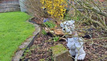 Pension Andrea - Photo 5