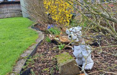 Pension Andrea - Photo 5