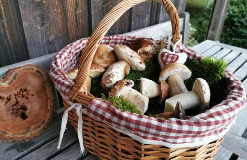 Natur und Wellness ''auf der Hardt'' -Jacuzzi- Sauna- Kinderausstattung- Alleinlage im Wald - Foto 48