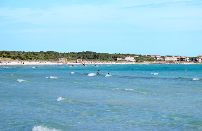 Son Viquet - Foto 42