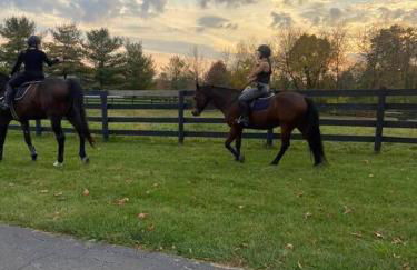 102 Acre Pet Friendly Horse Farm! Bring your horse too! - Foto 27