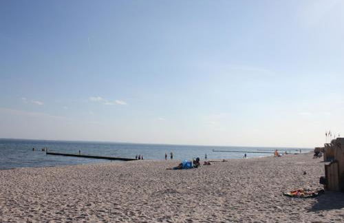 Silbermöwe im Kirschgarten - Foto 61