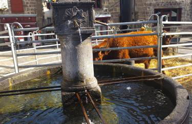 Chalet Emma appartement tout équipé et refait a neuf dans une résidence 3 étoiles - Photo 64