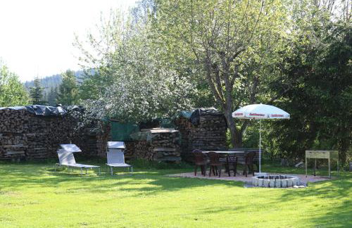 Ferienwohnungen Ludwigsthal - Foto 16