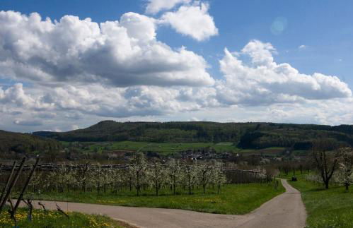 Ferienhaus Südbaden - Foto 25