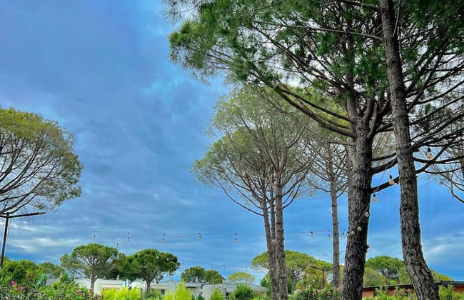 Studio With Amazing Balcony - Kamelia - Photo 32