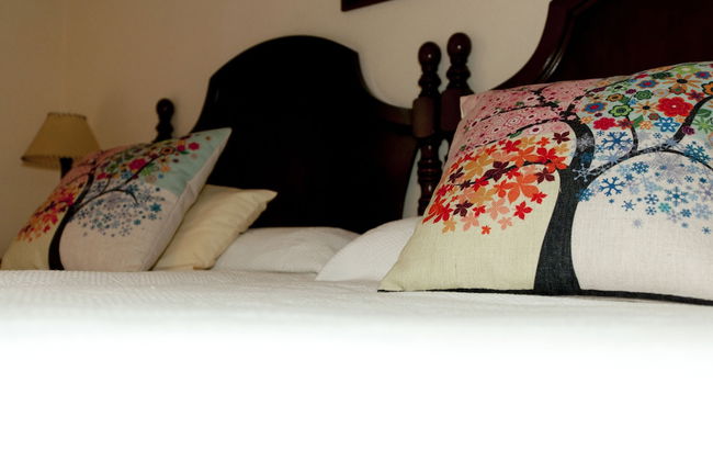 Trisqueles y Buganvillas - Photo 6