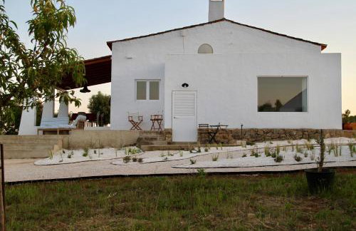 Monte Barriga - Photo 27